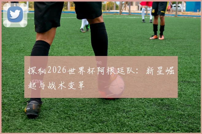 探秘2026世界杯阿根廷队：新星崛起与战术变革