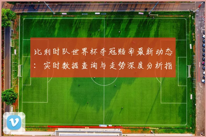比利时队世界杯夺冠赔率最新动态：实时数据查询与走势深度分析指南